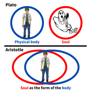 Plato and Aristotle on the soul