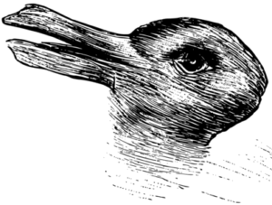 wittgenstein duck rabbit