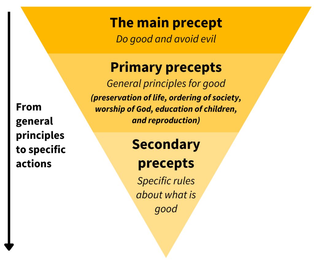 Aquinas' precepts