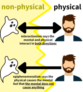 interactionism epiphenomenalism