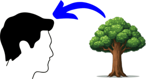 direct realism veil of perception