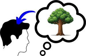 idealism veil of perception