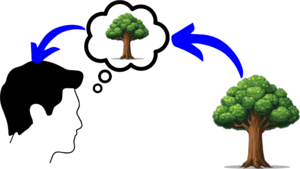 indirect realism veil of perception