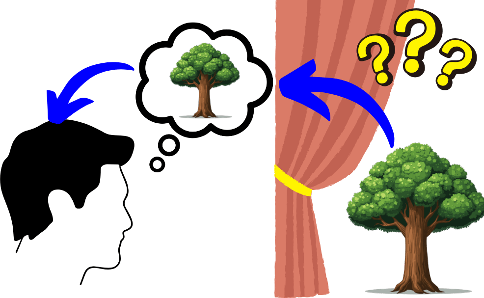 the veil of perception